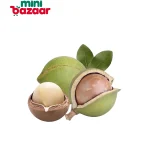 Macadamia Seeds